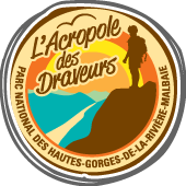 Écusson l'Acropole des Draveurs